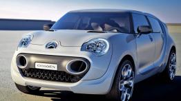 Citroen C-Cactus Concept - widok z przodu