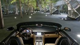 Mercedes SLS AMG Roadster 2012 - widok ogólny wnętrza z przodu