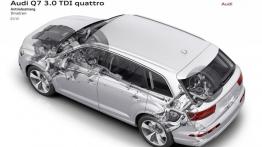 Audi Q7 II (2015) - schemat konstrukcyjny auta