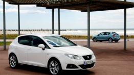 Seat Ibiza 2008 - widok z przodu