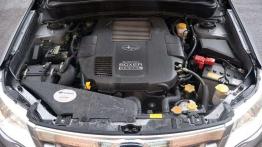 Subaru Forester - rodzinny, ze sportową nutką