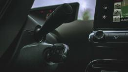 Citroen C4 Cactus Rip Curl - galeria redakcyjna