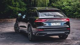 Audi Q8 50 TDI 286 KM - galeria redakcyjna (2) - widok z tyłu