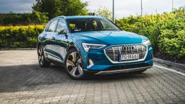 Audi e-tron - galeria redakcyjna - widok z przodu