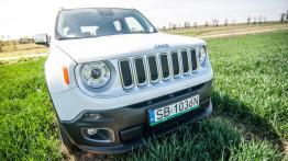 Jeep Renegade 1.4 MultiAir 140KM - galeria redakcyjna - widok z przodu