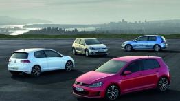 Volkswagen Golf VII TDI BlueMotion (2013) - lewy bok