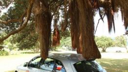 Audi Q5 w Nowej Zelandii - część 5 - galeria redakcyjna - inne zdjęcie