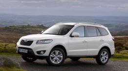 Hyundai Santa Fe 2010 - lewy bok
