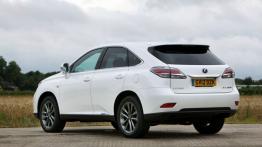 Lexus RX 450h F Sport - widok z tyłu