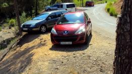 Peugeot 207 Hatchback 5d - galeria społeczności - widok z przodu