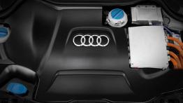 Silnikowa (r)ewolucja - czyli dokąd zmierza Audi?