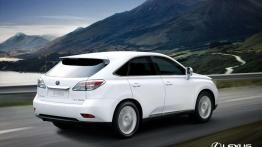 Przegląd rynku hybryd i samochodów elektrycznych