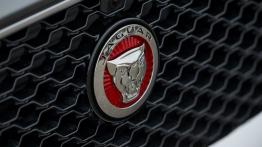 Jaguar XE 2.0d Ammonite Grey (2015) - logo