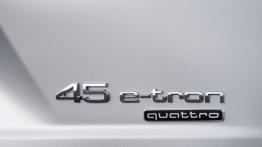 Audi Q7 II e-tron 2.0 TFSI quattro (2016) - emblemat