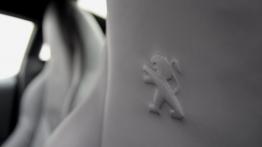 Peugeot RCZ Coupe 1.6L THP 16v 200KM - galeria redakcyjna 2 - fotel kierowcy, widok z przodu