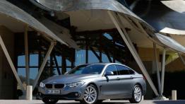 BMW 435i Gran Coupe (2014) - widok z przodu