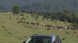 Skoda Yeti w Odessie - galeria redakcyjna - widok z przodu