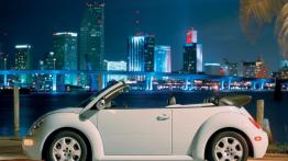 Volkswagen New Beetle - lewy bok