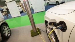 EkoFlota znalazła swoje miejsce na polskim rynku