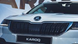 Skoda Karoq - Yeti od nowa