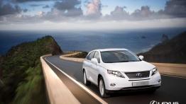 Przegląd rynku hybryd i samochodów elektrycznych