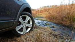 Chevrolet Captiva LTZ 2.2D 184KM 6AT - w kontakcie z naturą