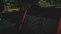 Citroen C4 Cactus Rip Curl - galeria redakcyjna