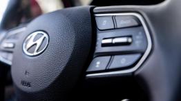 Hyundai Santa Fe 2.0 CRDI 185 KM - galeria redakcyjna - inny element panelu przedniego