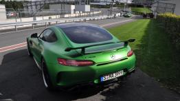 Mercedes-AMG GT R – galeria redakcyjna