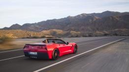 Chevrolet Corvette C7 Stingray Cabrio (2014) - wersja europejska - widok z tyłu