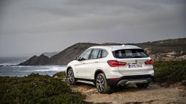 BMW X1 II xDrive20d (2016) - widok z tyłu