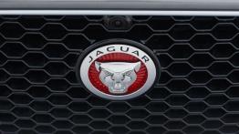 Jaguar XE 2.0d Ammonite Grey (2015) - logo