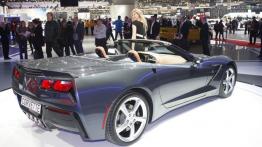 Chevrolet Corvette C7 Stingray Cabrio (2014) - oficjalna prezentacja auta