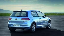 Volkswagen Golf VII TDI BlueMotion (2013) - widok z tyłu