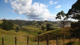 Audi Q5 w Nowej Zelandii - część 1 - galeria redakcyjna - inne zdjęcie