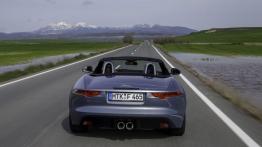 Jaguar F-Type V6 Satellite Grey - widok z tyłu