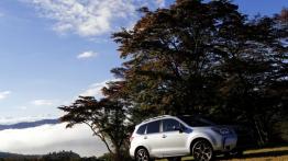 Subaru Forester IV - wersja europejska - prawy bok