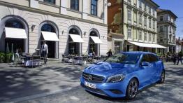 Mercedes A 200 (W176) 2012 - lewy bok