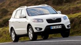 Hyundai Santa Fe 2010 - prawy bok