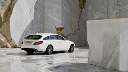 Mercedes CLS Shooting Brake - prawy bok