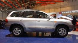  Genewa 2004 - szwedzkie