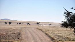 Skoda Yeti w Namibii - dzień 3 - podróż nad Atlantyk