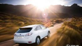 Przegląd rynku hybryd i samochodów elektrycznych