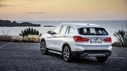 BMW X1 II xDrive20d (2016) - widok z tyłu