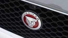Jaguar XE 2.0d Ammonite Grey (2015) - logo