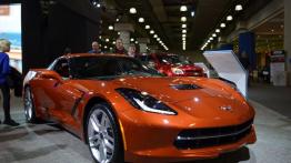 New York International Auto Show 2015 - inne zdjęcie