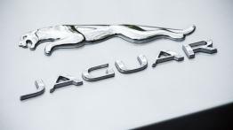 Jaguar F-Type AWD R Coupe (2016) - emblemat