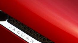Jaguar F-Type S Manual Coupe (2016) - wlot powietrza