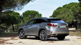 Lexus RX - galeria redakcyjna - widok z tyłu