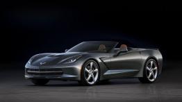 Chevrolet Corvette C7 Stingray Cabrio (2014) - przód - reflektory włączone